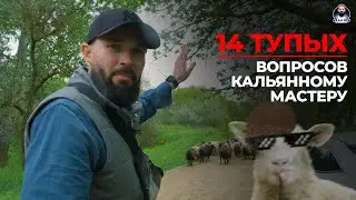 🧐14 тупых вопросов кальянному мастеру!🧐