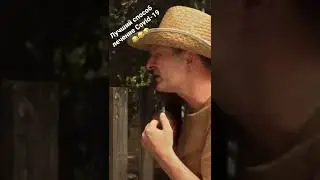 #сваты