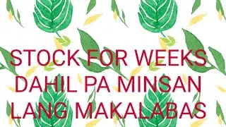 Stock for Weeks/ Lockdown 🙏❤️