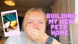 I'm getting a new pet! | Build her home with me