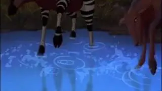 Lion King Animal Tribute