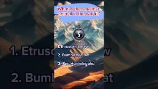 What is the smallest animal in the world? #shorts #quiz #quiztime