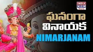 ఘనంగా వినాయక నిమర్జనం