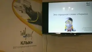 Вебинар для владельцев животных 