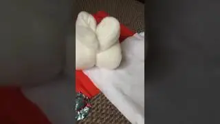 Шляпка Мухомор