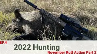 Oklahoma Hunting Trip. Deer and hog Down!