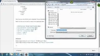 Basic File Management in Windows