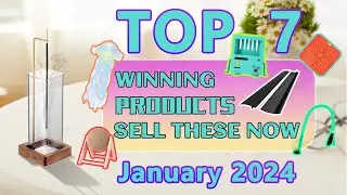 Top Winning Products
