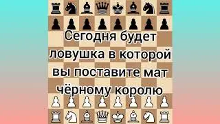 Шахматы.Ферзь,ладья и конь ставят мат чёрному королью.