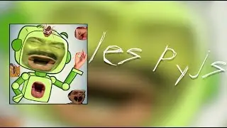 les pyjs