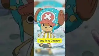 All Straw Hat's Crew members