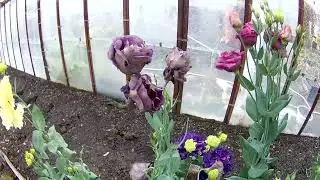 Ура, завершили садовый сезон