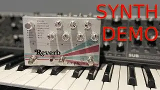 You Should Buy The Empress Reverb (Synth Demo)