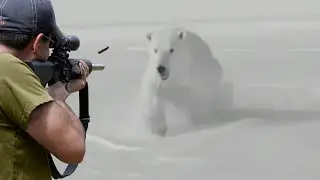الدب الغاضب والصياد وجها لوجه 😱🔥👍👌 الجزء 1