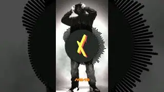 X MAZE PRODUCTION PACK