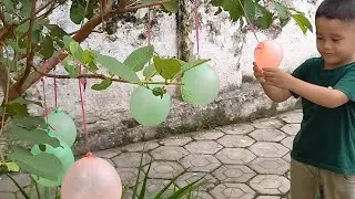 Gentamas pete' Lele Balon Air