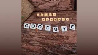 Goodbye - Alice Minguez