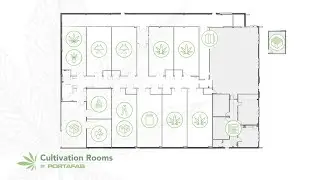 Ideal Conditions for Grow Room Cultivation | PortaFab Cultivation Rooms | Modular Cultivation Rooms