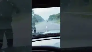 Вот мы и развели Ганнибала! 