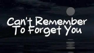 Shakira, Rihanna - Can't Remember To Forget You (Letra)