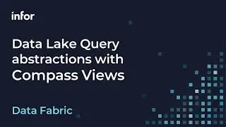 Infor Data Lake Queries with Compass Views