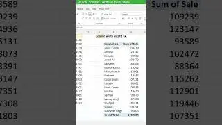 Autofit colum in pivot table | column width fix in pivot table