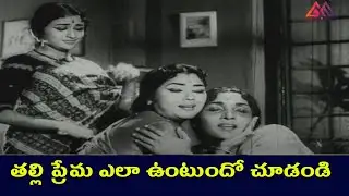 తల్లి ప్రేమ ఎలా ఉంటుందో చూడండి || Heart Touching Scene ||  NTR, Krishna Kumari | Gangothri Movies