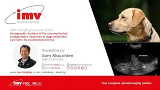 Journal Club JAN24: Sonographic features of the uncomplicated postoperative abdomen in dogs