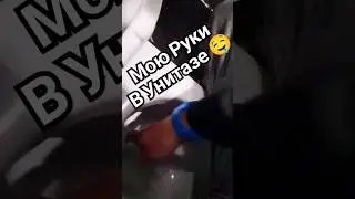 Лу Юй Изучает Туалет (Подробно)