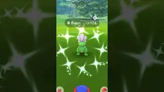 BAGON COMMUNITY DAY!! #pokemongo #pokémon #pokemon #shorts
