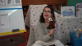 Storytime Rewind with ms Bri
