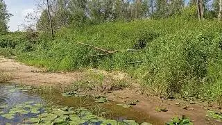 Выбор места