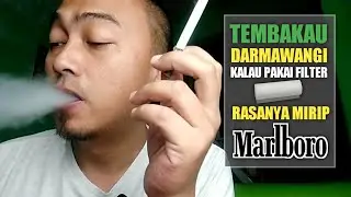 MELINTING TEMBAKAU DARMAWANGI DAN REVIEW RASANYA