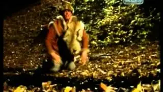 Тайные знаки. Обречённые на бессмертие.