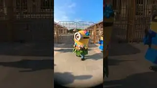 Minion dance beautifully at Universal Studios Japan #minions #despicableme #shorts #japan