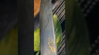 Тугри всего за 1200 руб.