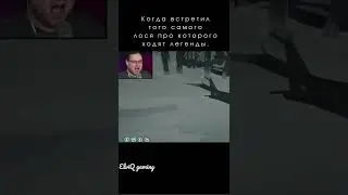 Kuplinov met a moose