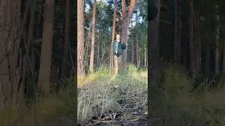 Where you go i go🚶‍♂️‍➡️🌿 #shortvideo #shorts