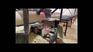 Бревна для вашего дома