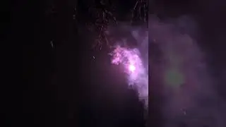 новогодний салат, с Новым 2024 годом, вот так мы по стреляли, конечно это не весь!)