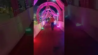 #Awesome #Decoration #bihar #songwriter #plzz #watch #short #videos