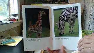 Spots & Stripes