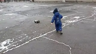 ловим машинку