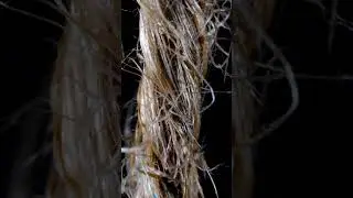 Macro Close-up Of Jute Rope