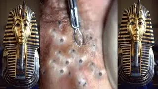 ضوء النهار في ضوء الليل #031