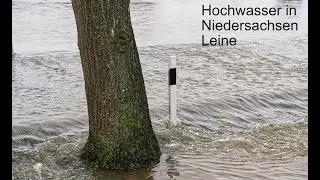 Hochwasser Niedersachsen (Leine)