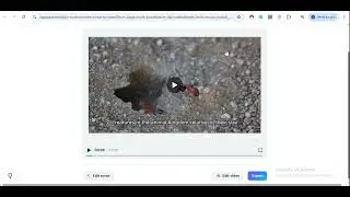 Turn Any Script into a Video Automatically – 100% FREE Tool!