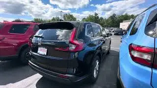 Veronica’s CRV!