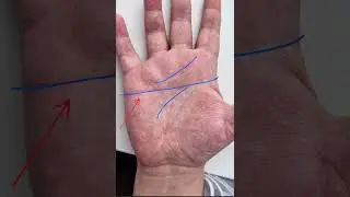 Обезьянья складка на ладони #хиромантия