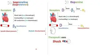 Direct sympathomimetics - Dopamine - in Arabic